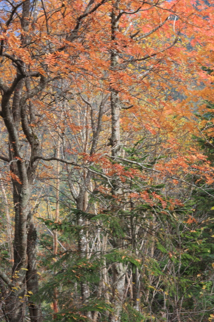 c0148777_222783.jpg