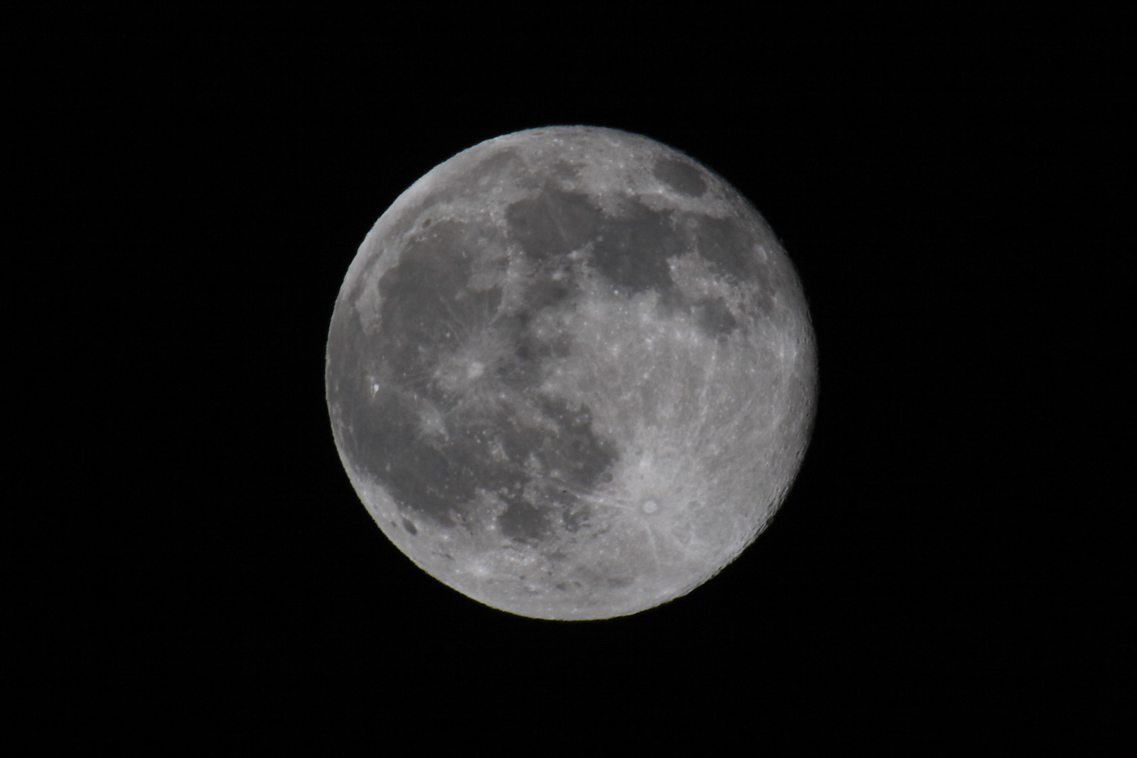 b0083779_8545780.jpg