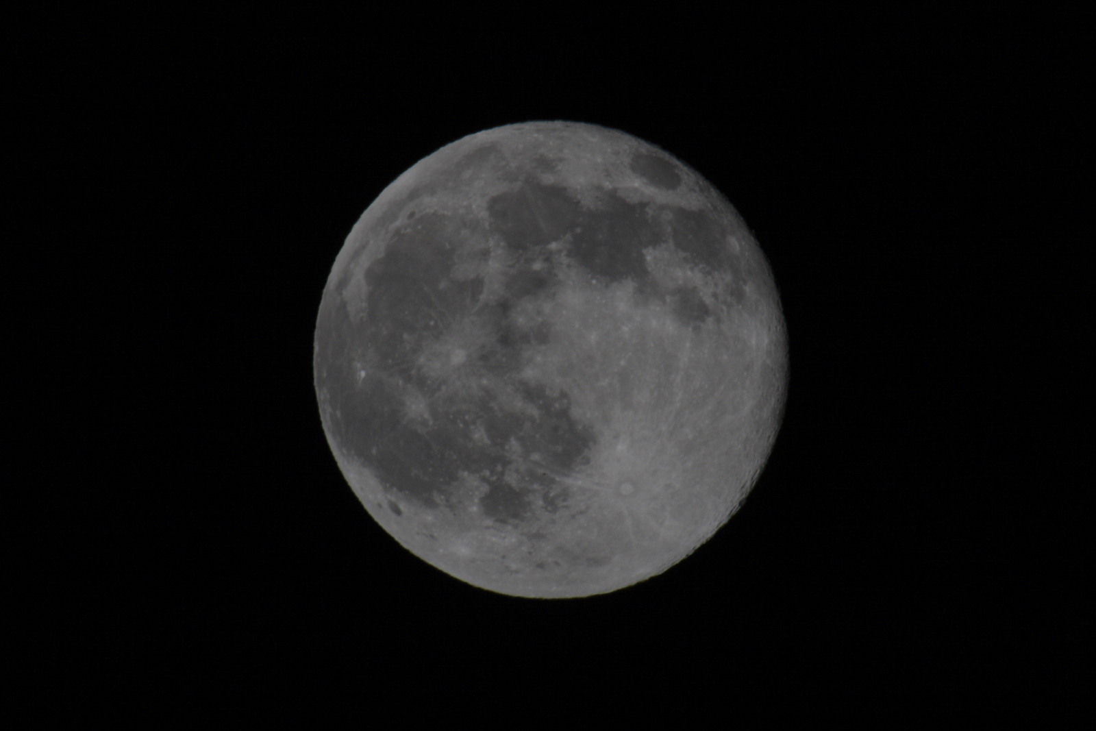 b0083779_8564567.jpg