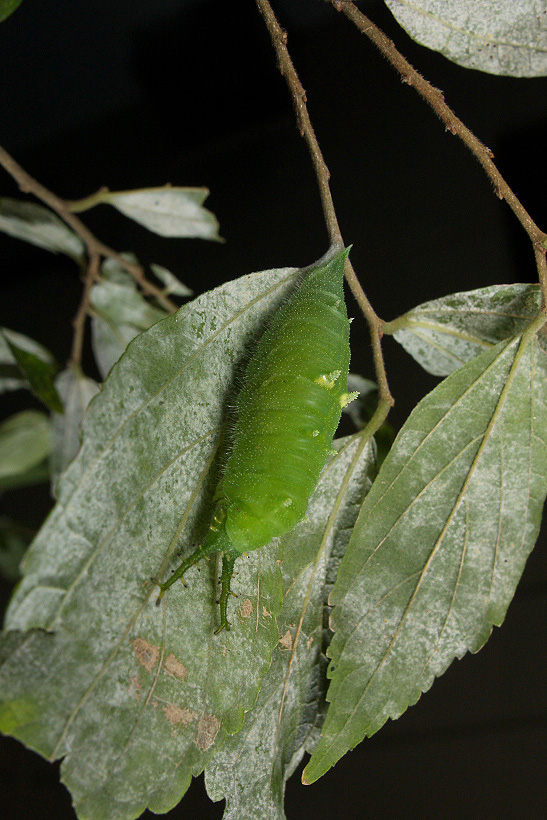 f0090680_2248176.jpg