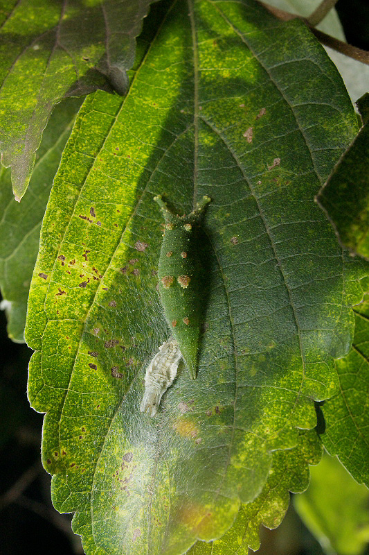 f0090680_22492012.jpg