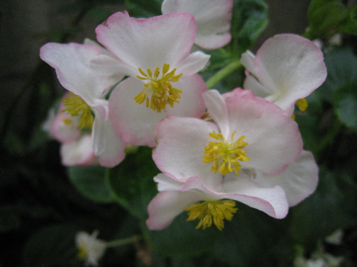c0132387_0495958.jpg