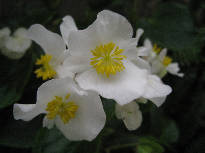 c0132387_0501646.jpg