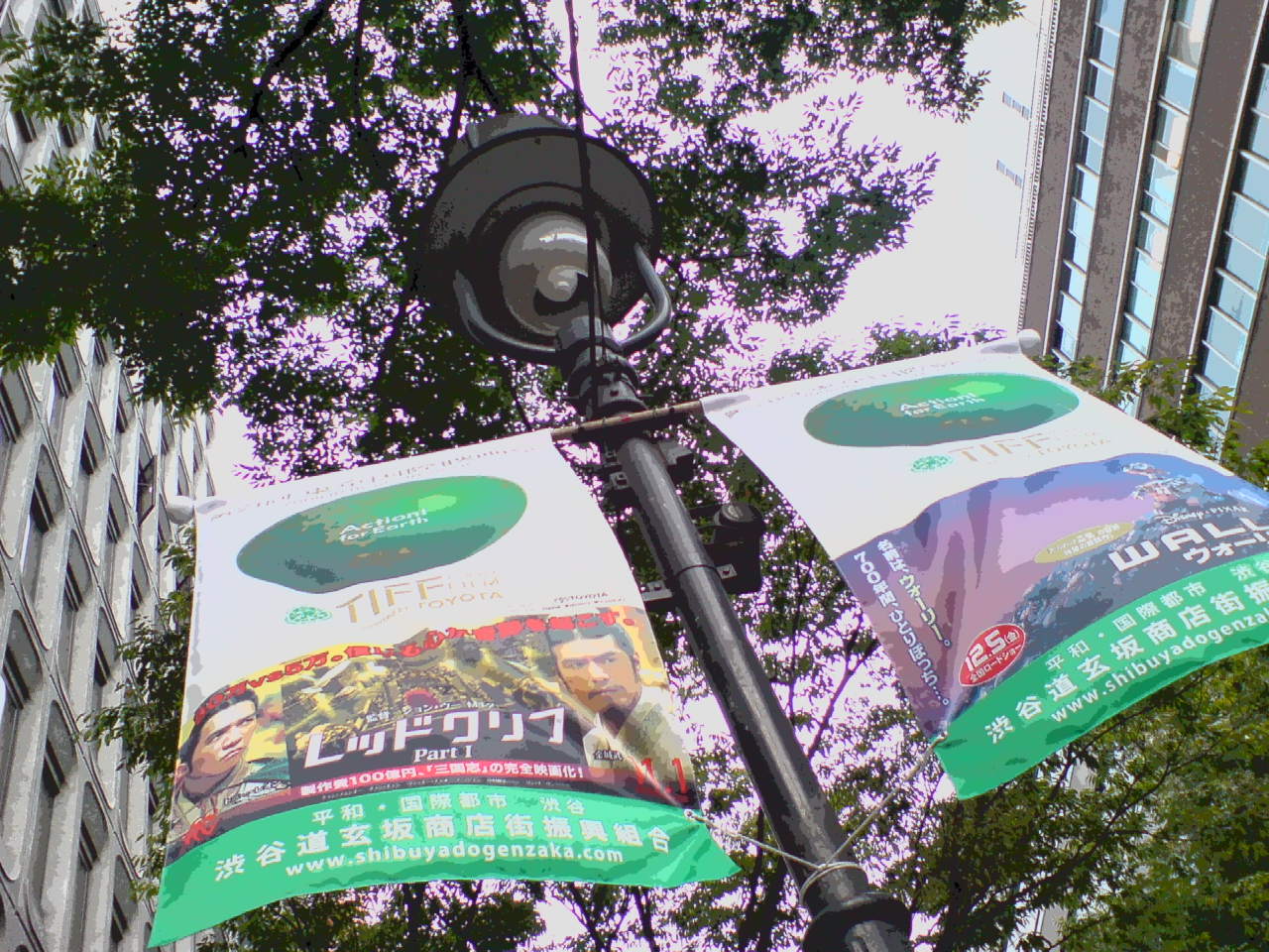 f0098094_17565066.jpg