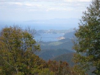 b0021101_15542480.jpg