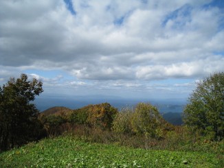 b0021101_15543895.jpg