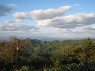 b0021101_1614518.jpg