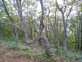b0021101_16275666.jpg