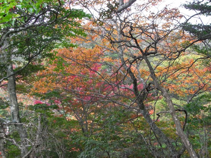 f0187402_10314184.jpg