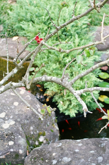 d0112003_19211883.jpg