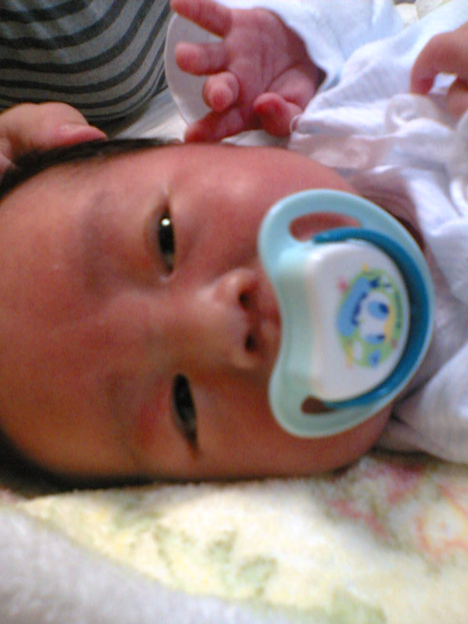 d0102007_12535068.jpg