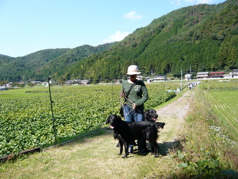 a0090313_10144514.jpg
