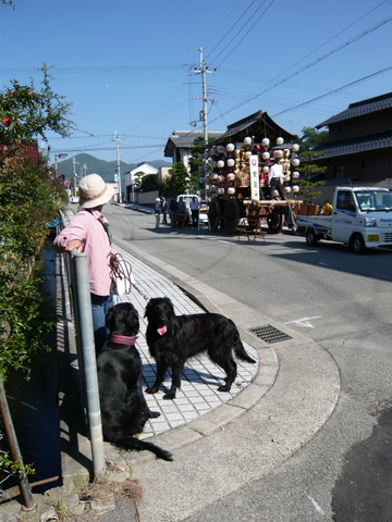 a0090313_1091759.jpg