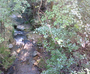 d0013816_21453696.jpg