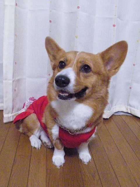 c0127617_22233929.jpg