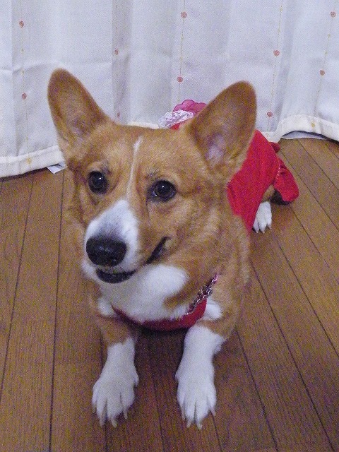 c0127617_22245699.jpg