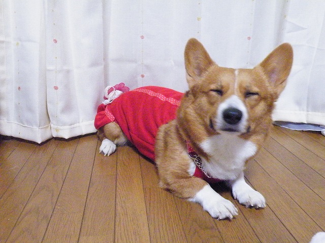 c0127617_22265864.jpg