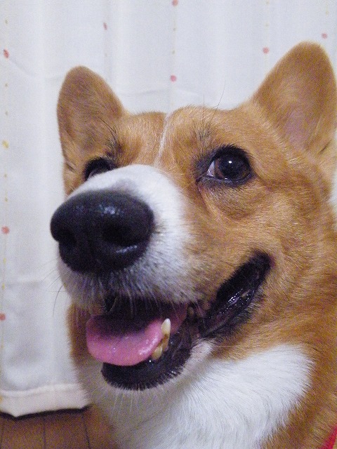 c0127617_22292976.jpg