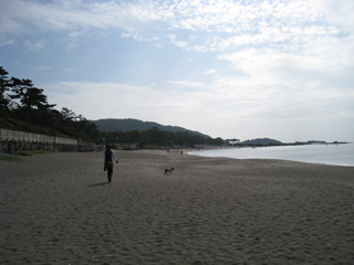 e0080117_23483180.jpg