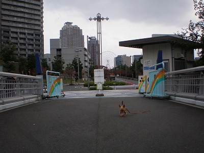 b0144519_18265962.jpg