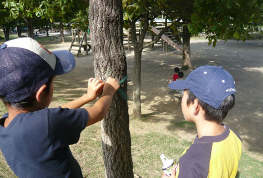 f0192920_11553358.jpg
