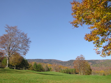 f0128723_23541324.jpg