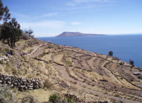 c0025724_1035314.jpg