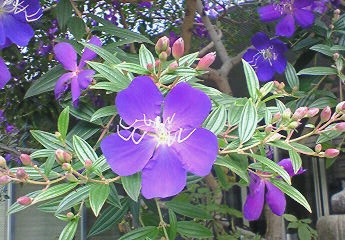 a0036626_19385498.jpg