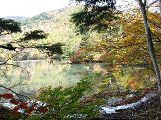 a0043326_21584165.jpg
