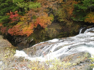a0043326_22202479.jpg