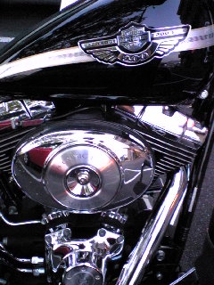 a0099129_2264119.jpg