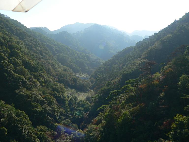 d0054830_21553649.jpg