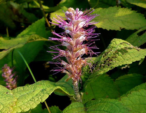 d0075131_012841.jpg