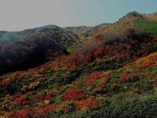 f0118332_23464810.jpg