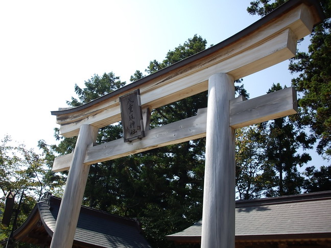 b0011334_2338625.jpg
