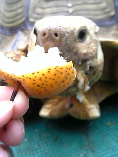 c0056437_17404025.jpg