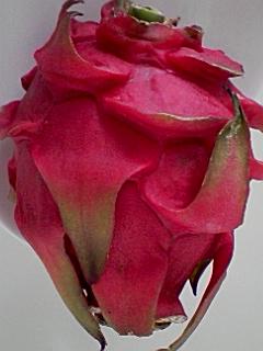 f0188237_21261980.jpg