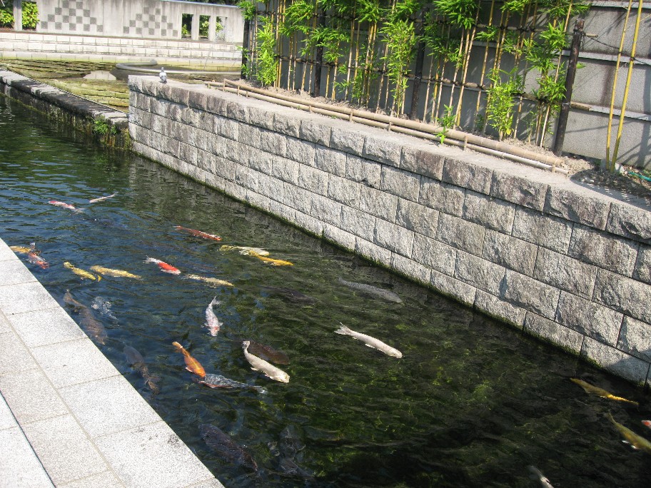 f0182838_2324617.jpg