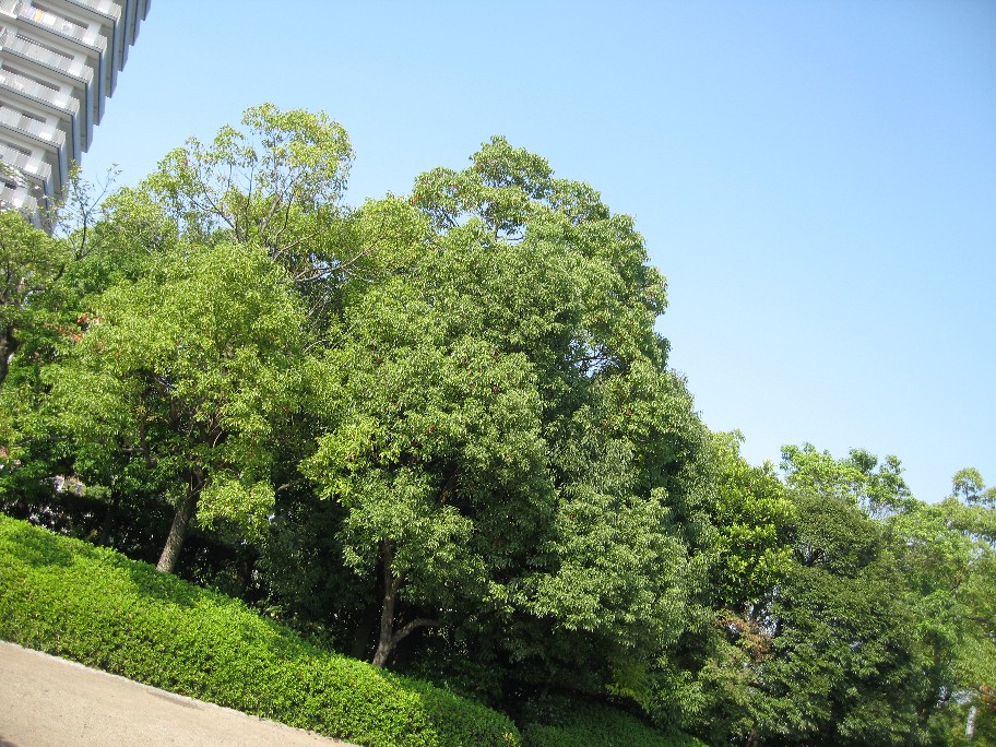 f0182838_23344275.jpg
