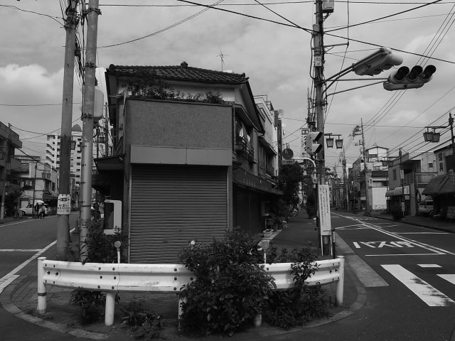 a0087341_1513154.jpg