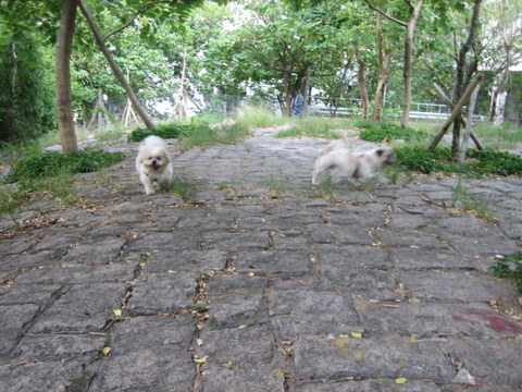 e0018143_2531455.jpg