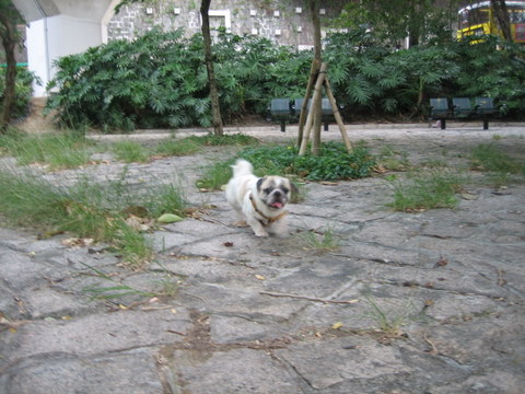 e0018143_2534682.jpg