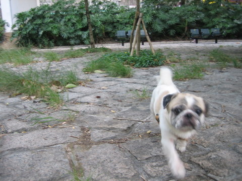 e0018143_254182.jpg