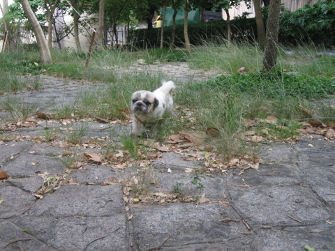 e0018143_2544755.jpg