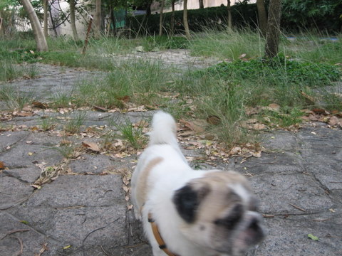 e0018143_2553828.jpg