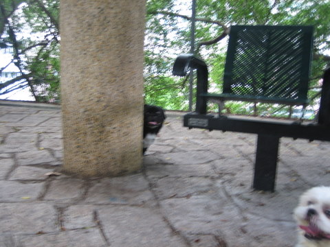 e0018143_257464.jpg