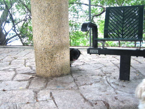 e0018143_2581955.jpg