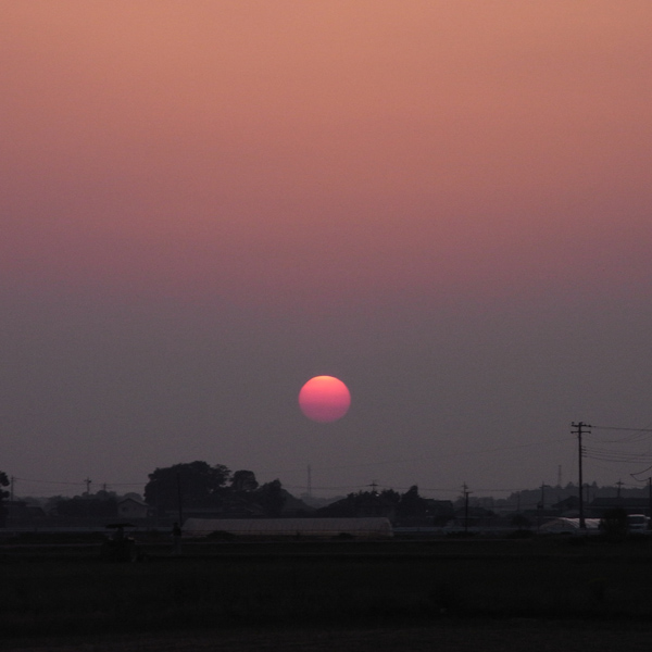 f0184244_7115184.jpg