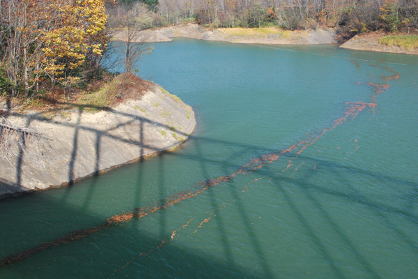 f0166545_2241625.jpg