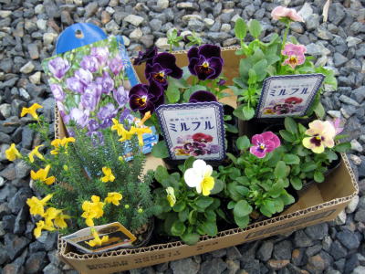 c0147952_214619.jpg